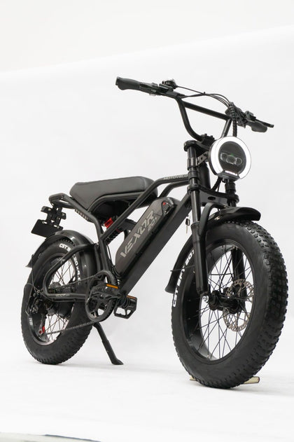 VEXOR 20X — 750W Fat Tire E-Bike - view 2