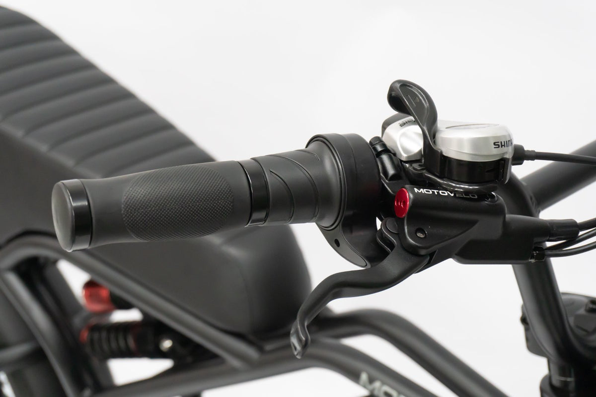 VEXOR 20s — 750W Fat Tire E-Bike